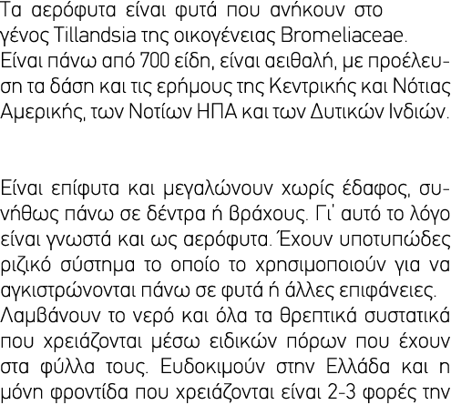                                              Tillandsia                 Bromeliaceae                 700     ,          