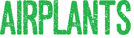 airplants