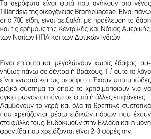                                             Tillandsia                 Bromeliaceae                 700     ,          